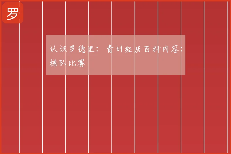 认识罗德里：青训经历百科内容：梯队比赛
