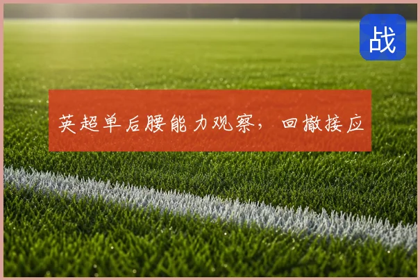 英超单后腰能力观察,回撤接应